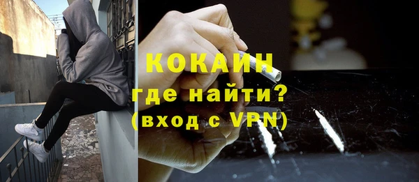 индика Новозыбков