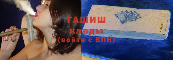 индика Новозыбков