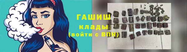 индика Новозыбков