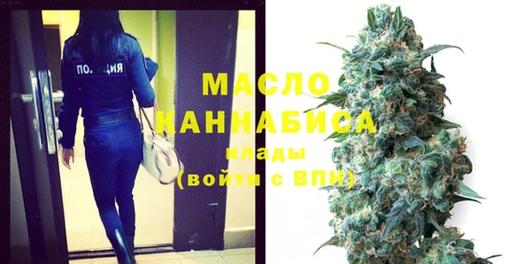 индика Новозыбков