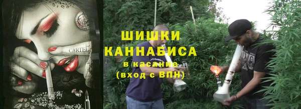 индика Новозыбков