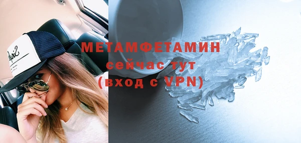 индика Новозыбков