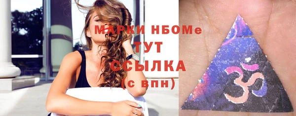 индика Новозыбков